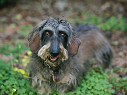 Moritz