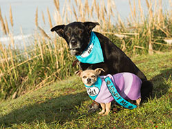 Puppup and Lulu
