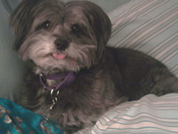 Winnie