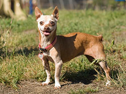 Rosie aka Edna