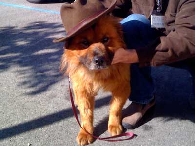 Redford