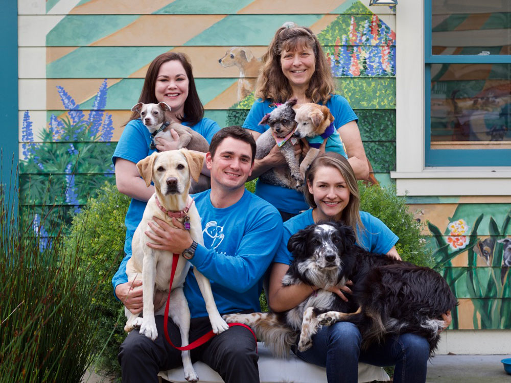Staff Members
