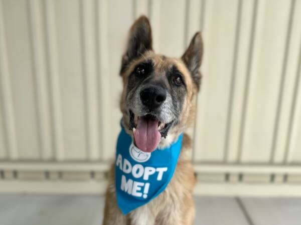 Axel
