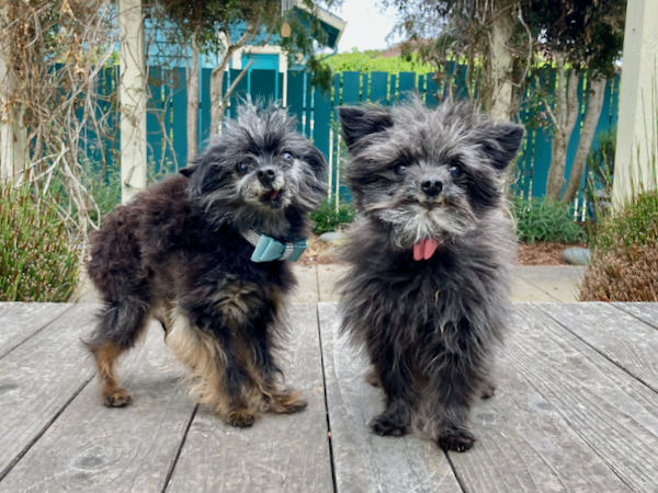 Babycakes and Gemmie