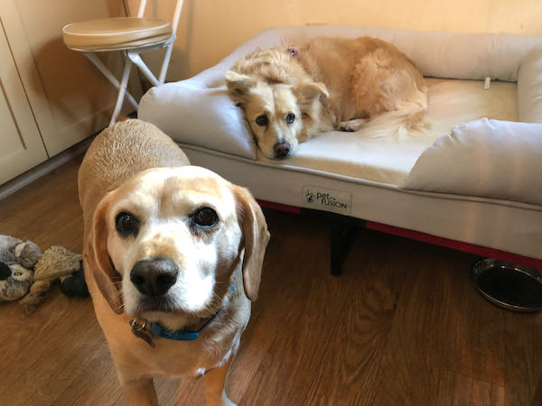 Buddy and Sister