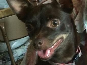 Coco