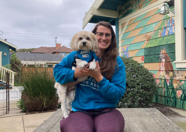 Cooper Havanese