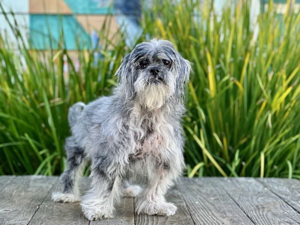 Cosmo