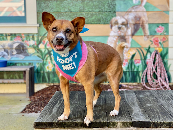 Dixie Mae