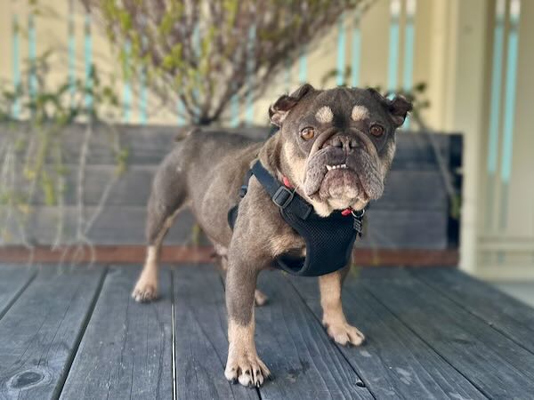 Edna