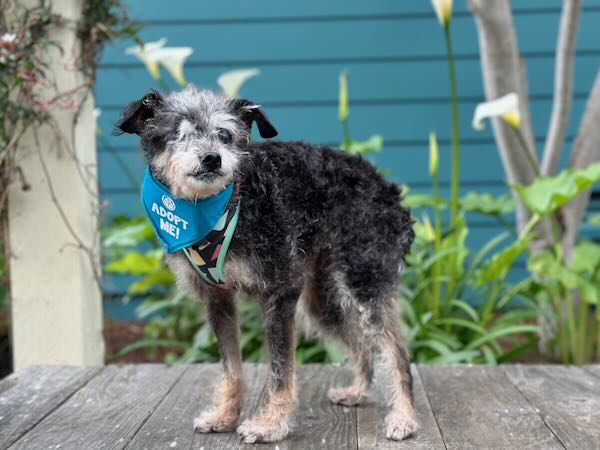 Ellie Mae