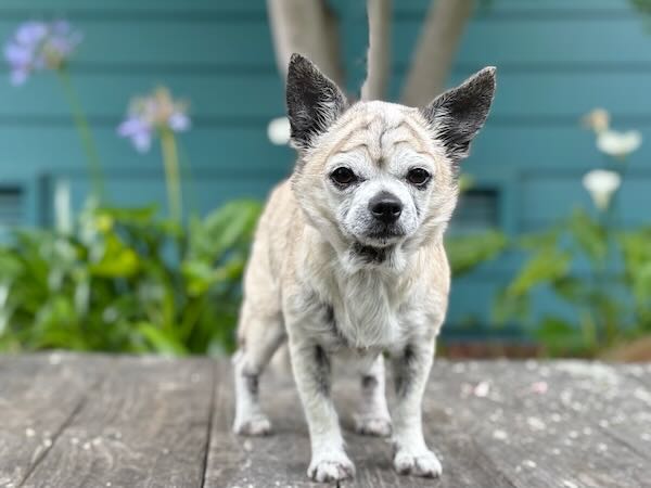 Ethel