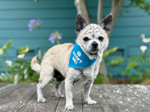 Ethel
