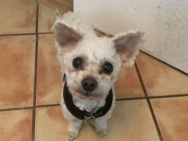 Huey