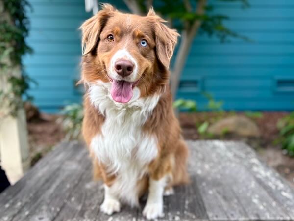 Keeva