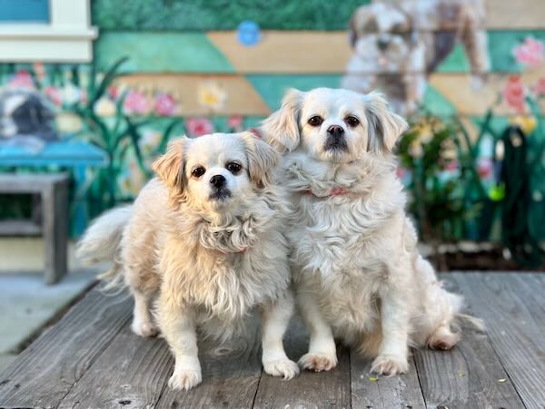 Lili and Suzie