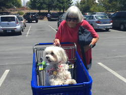 Lola Maltese