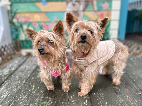 Maddie and Twinkie