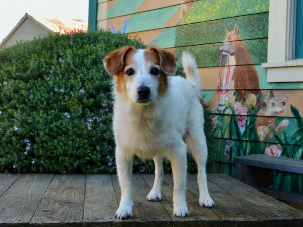 Matilda (aka Molly)