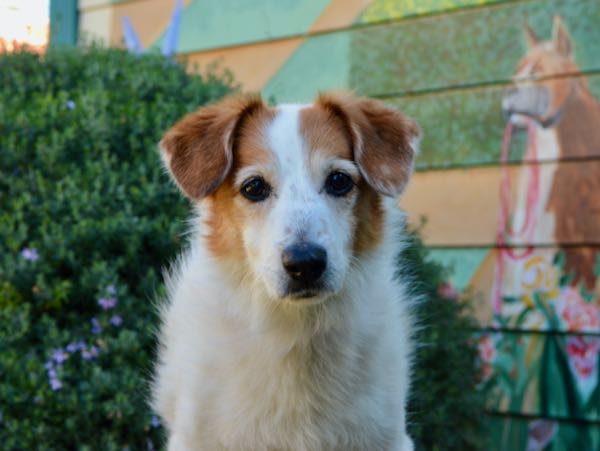 Matilda (aka Molly)