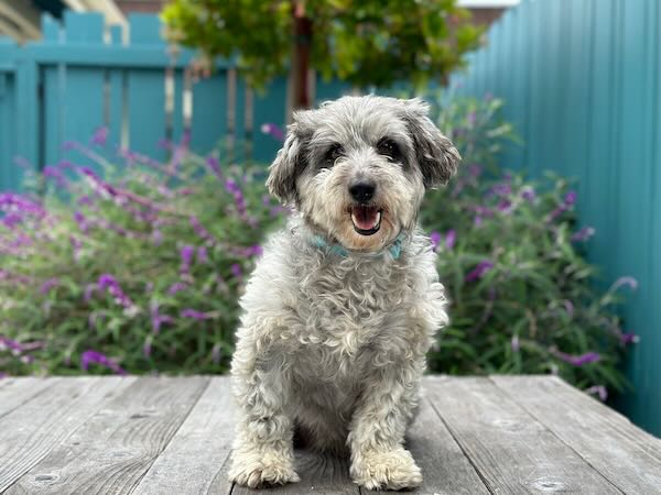 Matilda