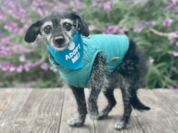 Minnie