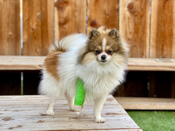 Rocket