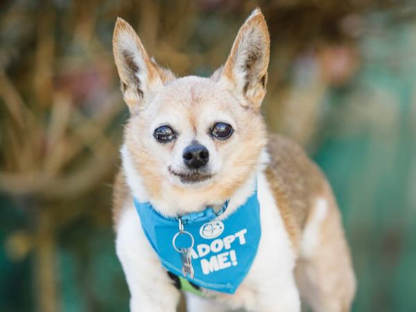 Rudy Roo