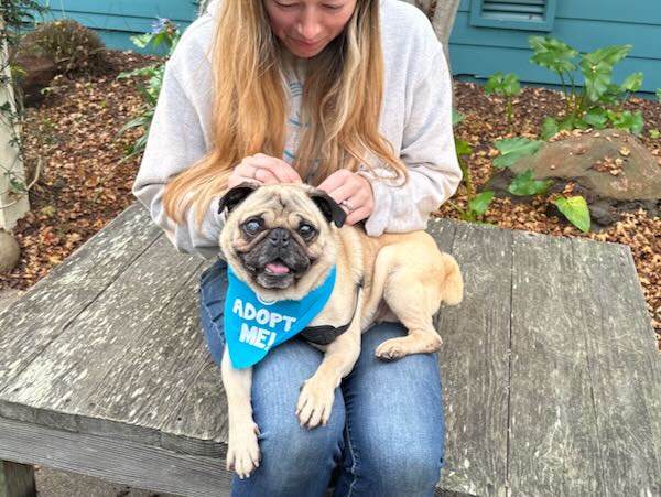 Santa's Little Helper