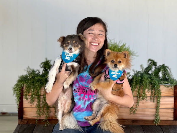 Spunky and Little Bear