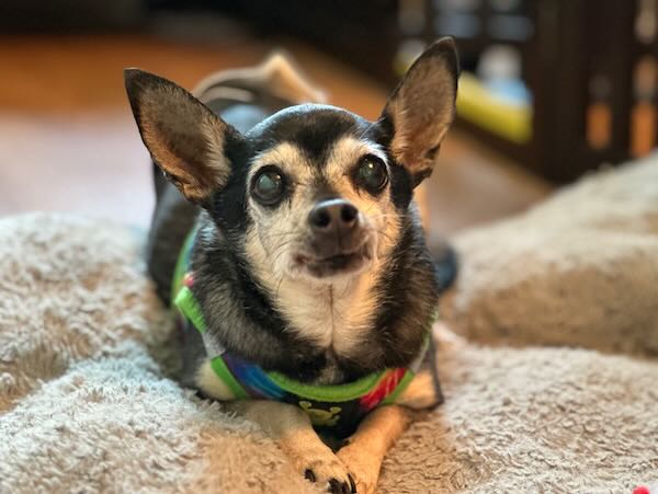 Walter