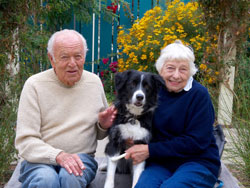 Bear Border Collie