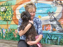 Bella Schnoodle