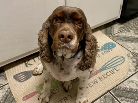 Buster