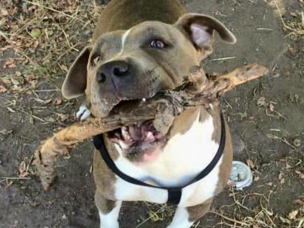 Duke