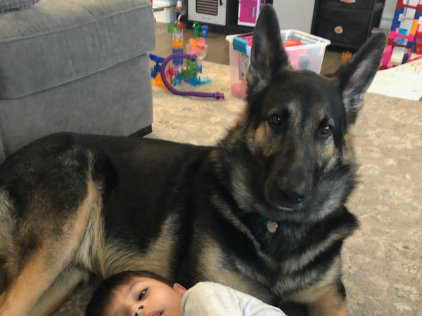 Loki