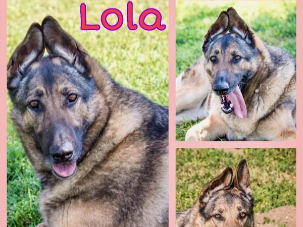 Lola