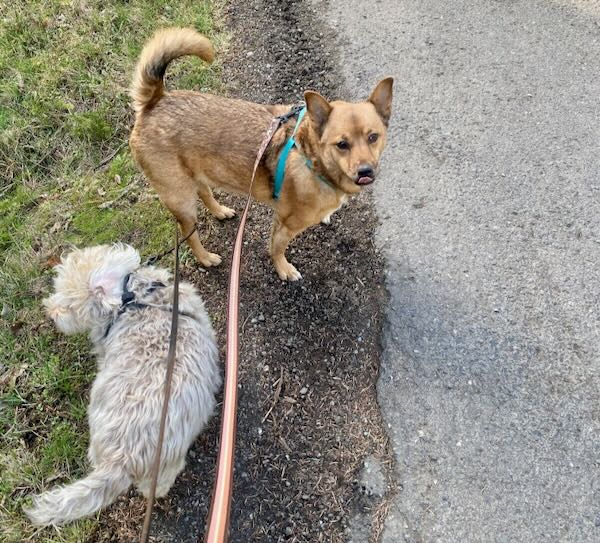 Luli and Mitt