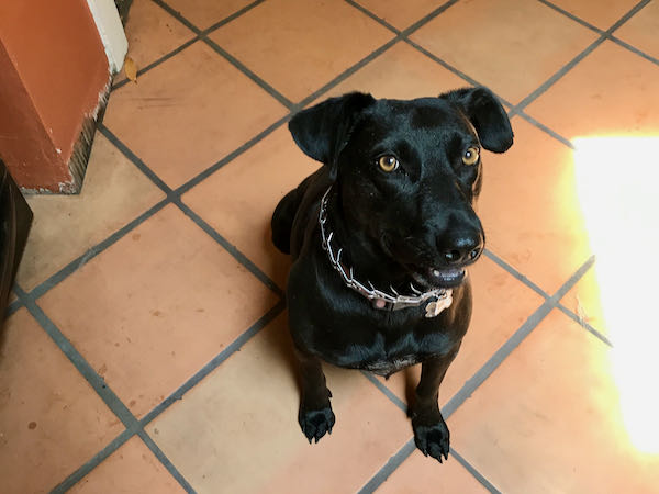 Mimi