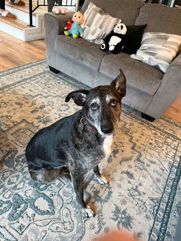 Molly