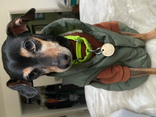 Otis