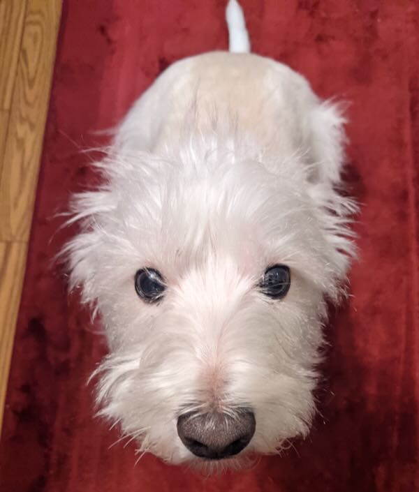 Winnie