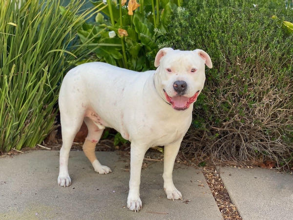 Zeus