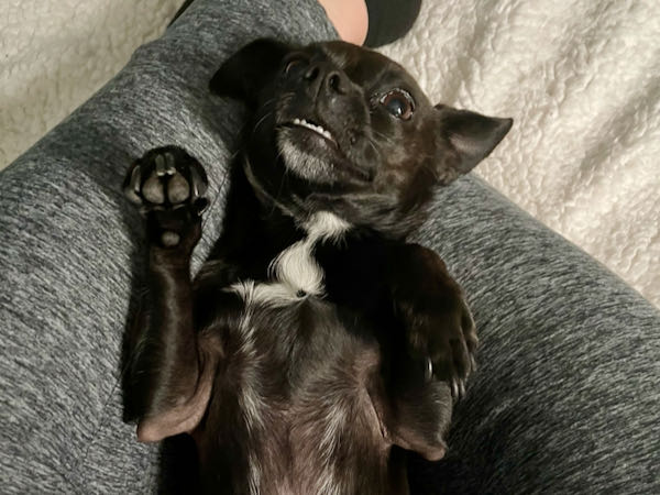 Zoey