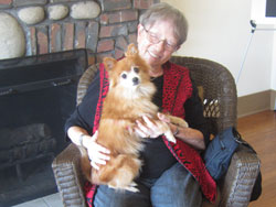 Cuddles Pom