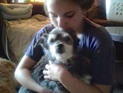 Gidget