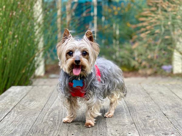 Shalom aka Jack