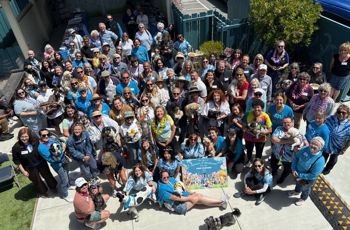 Volunteers 2025