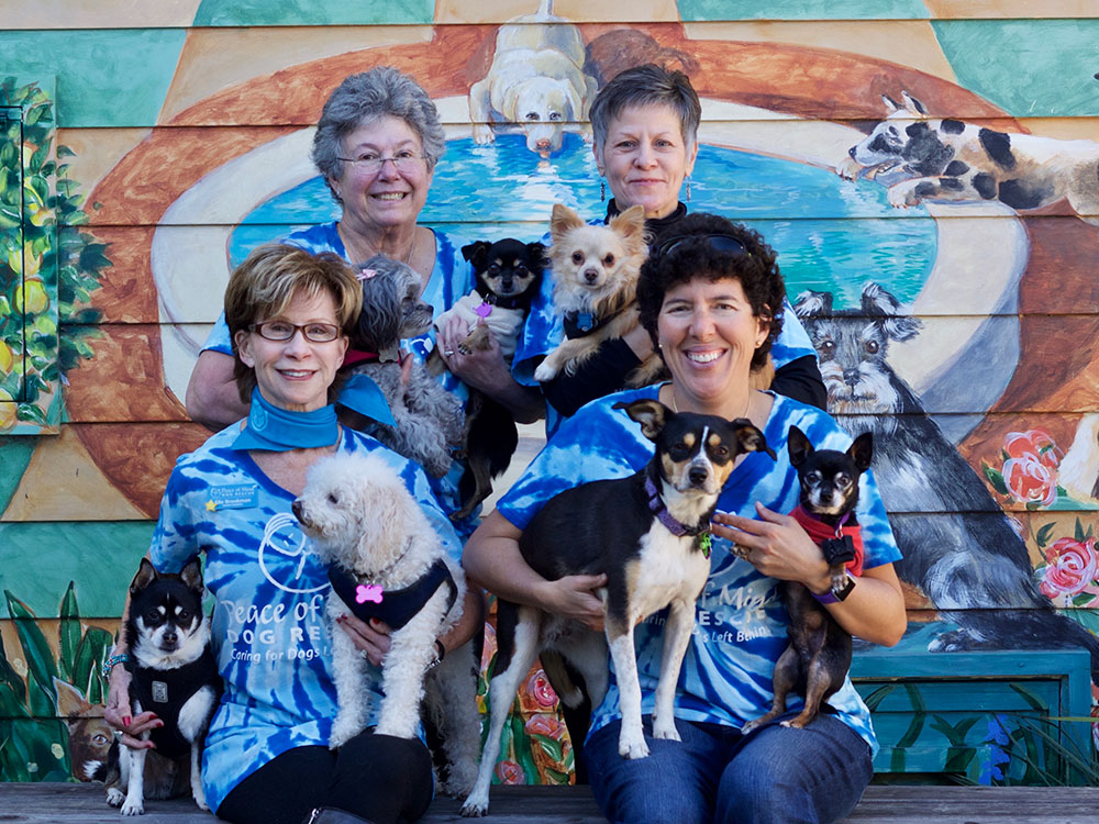 Board Members