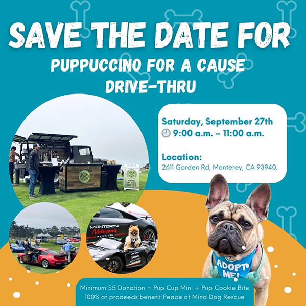 Puppuccino